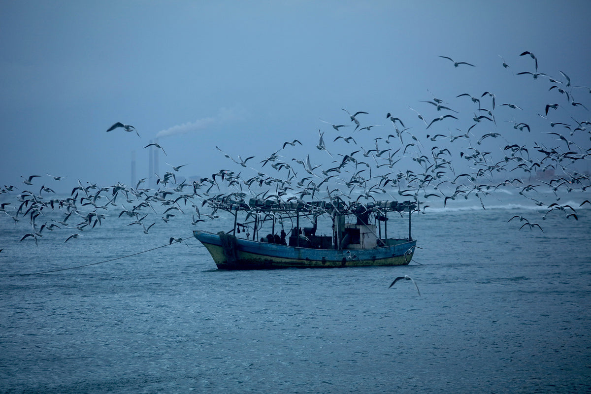 Fishermen